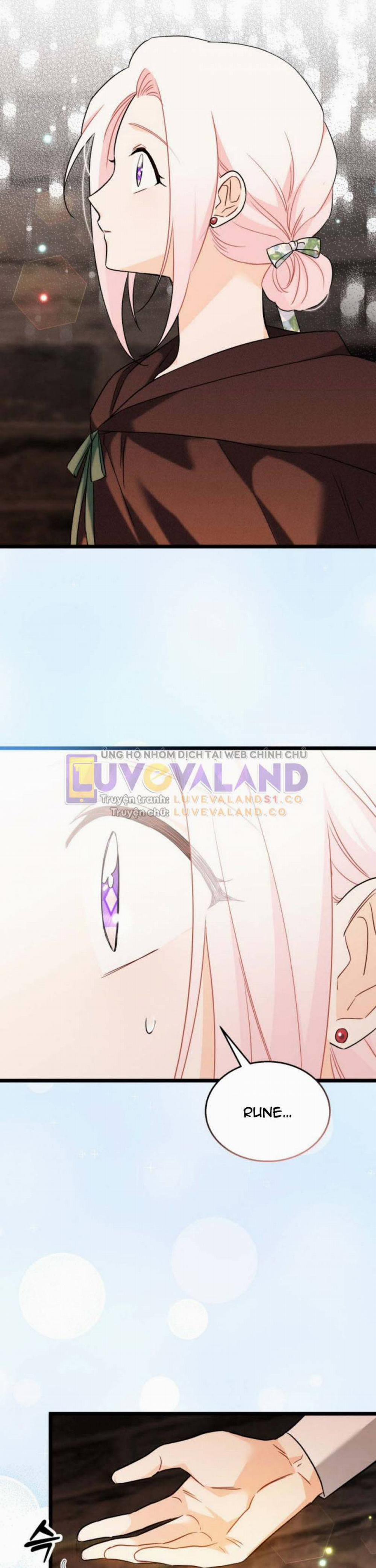 Mối Quan Hệ Cộng Sinh Giữa Báo Đen Và Thỏ Trắng 157 trang 12