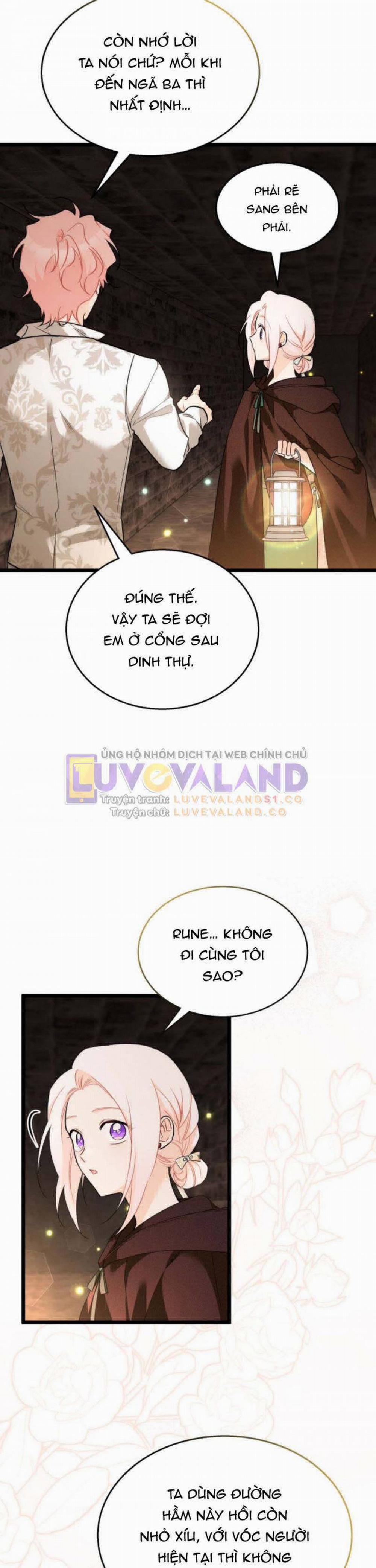 Mối Quan Hệ Cộng Sinh Giữa Báo Đen Và Thỏ Trắng 157 trang 8