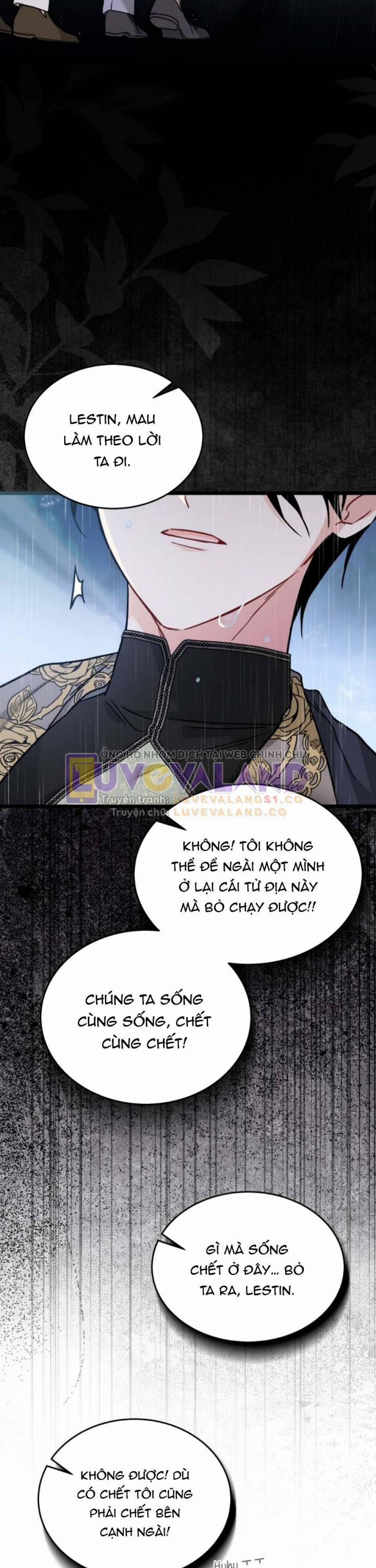 Mối Quan Hệ Cộng Sinh Giữa Báo Đen Và Thỏ Trắng 158 trang 13