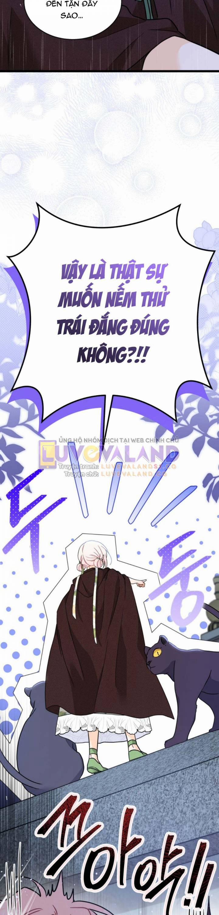 Mối Quan Hệ Cộng Sinh Giữa Báo Đen Và Thỏ Trắng 158 trang 17