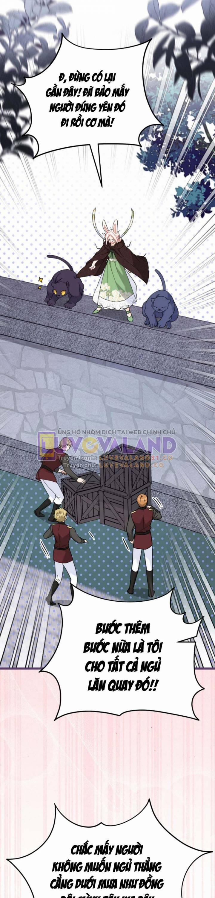 Mối Quan Hệ Cộng Sinh Giữa Báo Đen Và Thỏ Trắng 158 trang 19