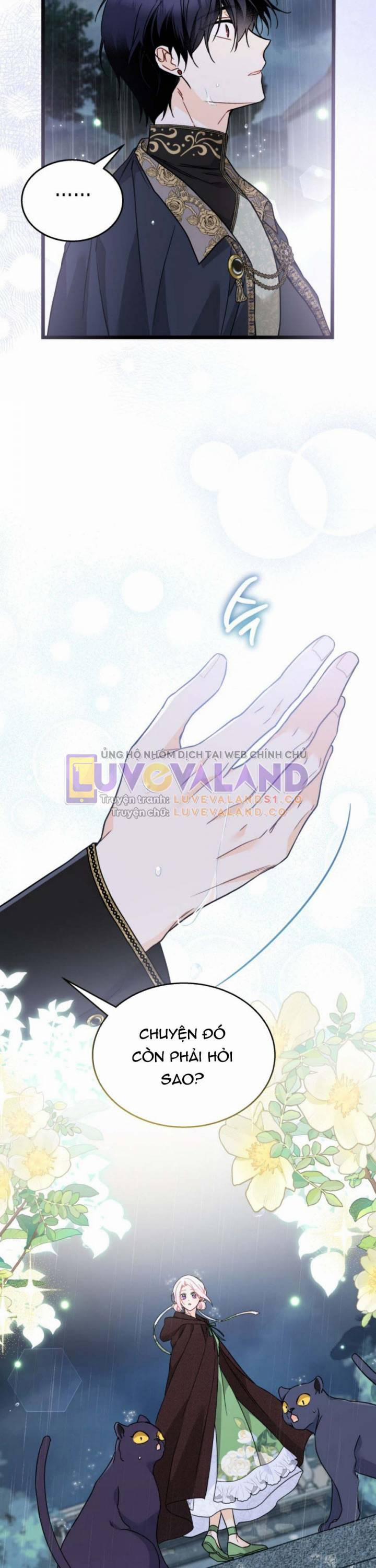 Mối Quan Hệ Cộng Sinh Giữa Báo Đen Và Thỏ Trắng 158 trang 24