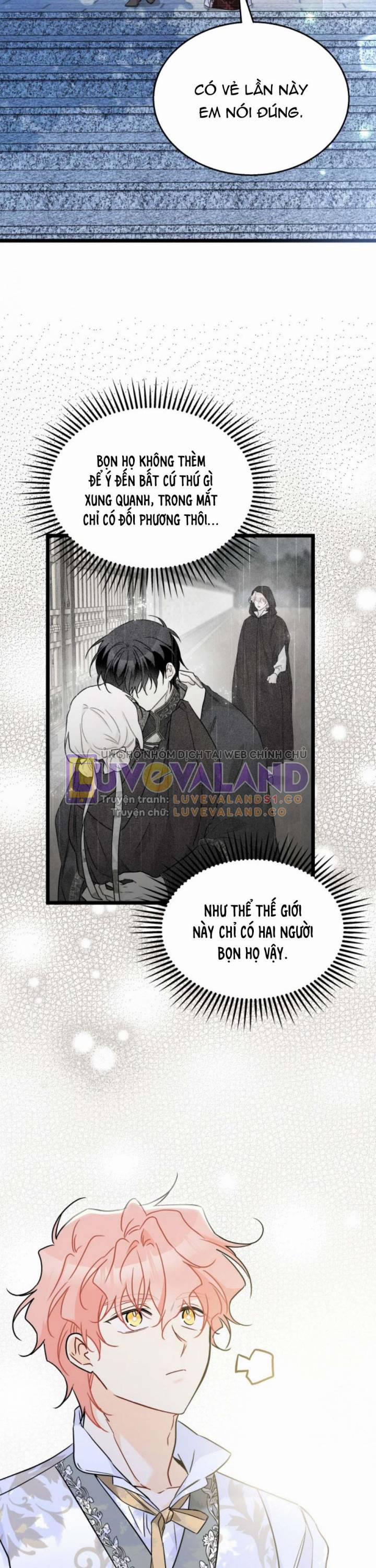 Mối Quan Hệ Cộng Sinh Giữa Báo Đen Và Thỏ Trắng 158 trang 33