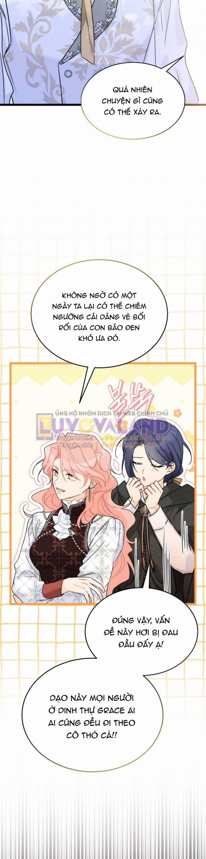 Mối Quan Hệ Cộng Sinh Giữa Báo Đen Và Thỏ Trắng 158 trang 34