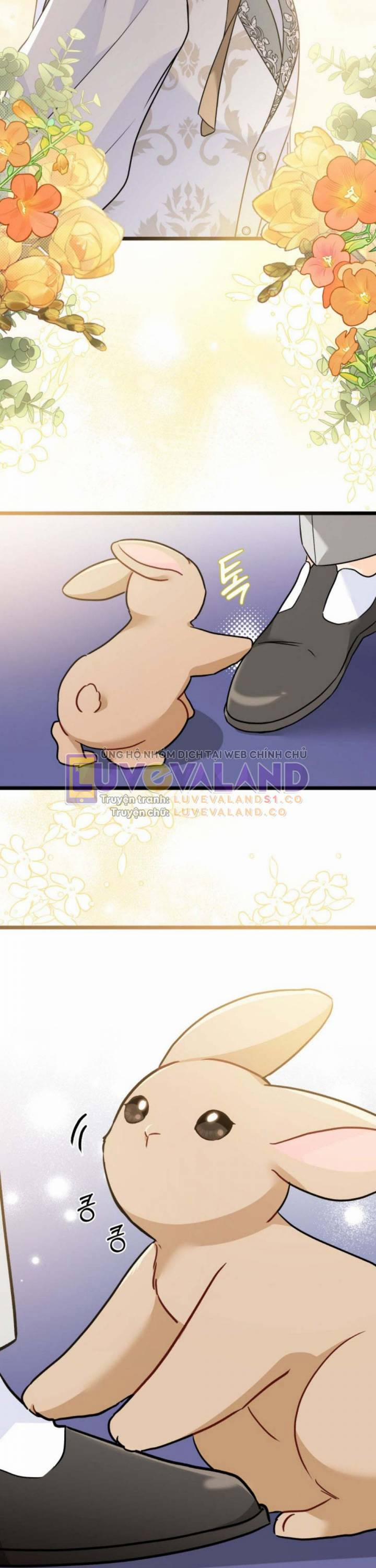 Mối Quan Hệ Cộng Sinh Giữa Báo Đen Và Thỏ Trắng 158 trang 38