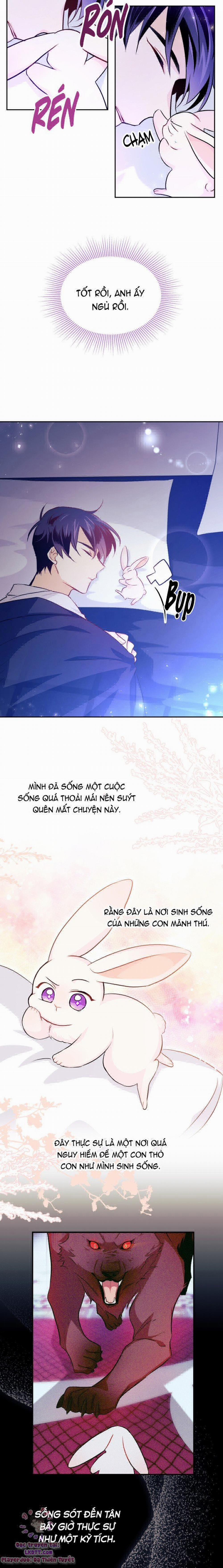 Mối Quan Hệ Cộng Sinh Giữa Báo Đen Và Thỏ Trắng 16 trang 10