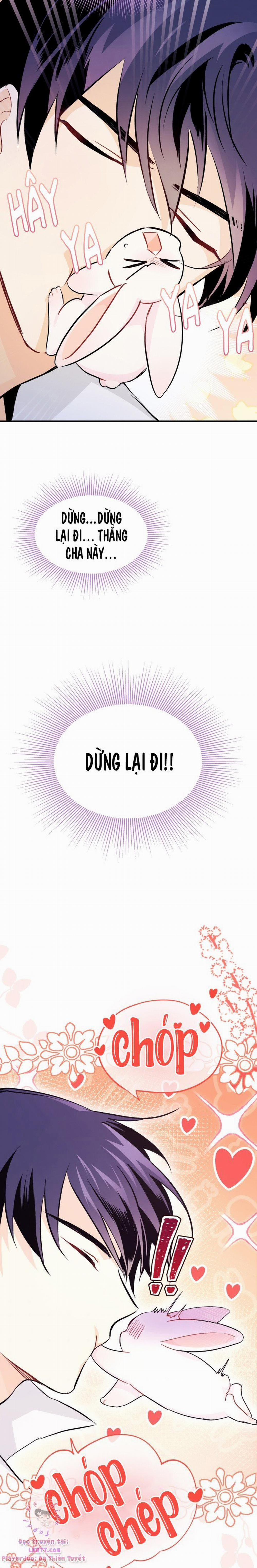 Mối Quan Hệ Cộng Sinh Giữa Báo Đen Và Thỏ Trắng 16 trang 16