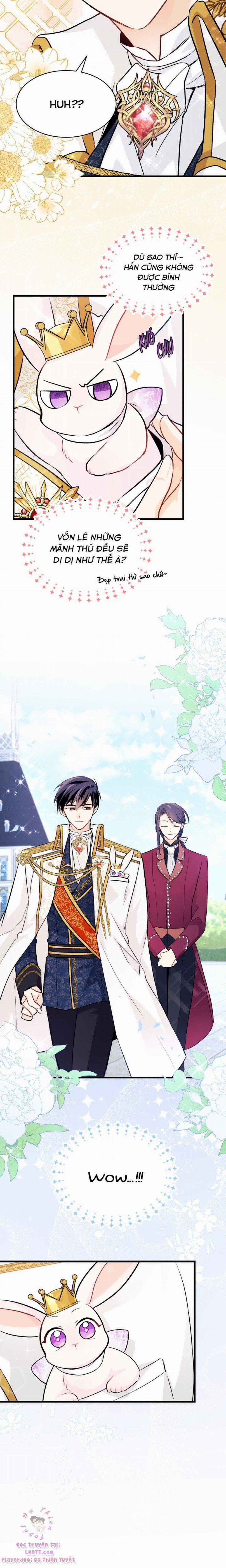 Mối Quan Hệ Cộng Sinh Giữa Báo Đen Và Thỏ Trắng 17 trang 17