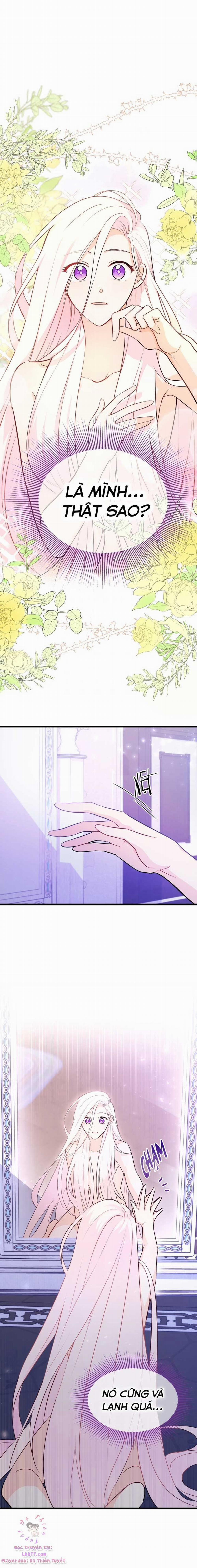 Mối Quan Hệ Cộng Sinh Giữa Báo Đen Và Thỏ Trắng 19 trang 6