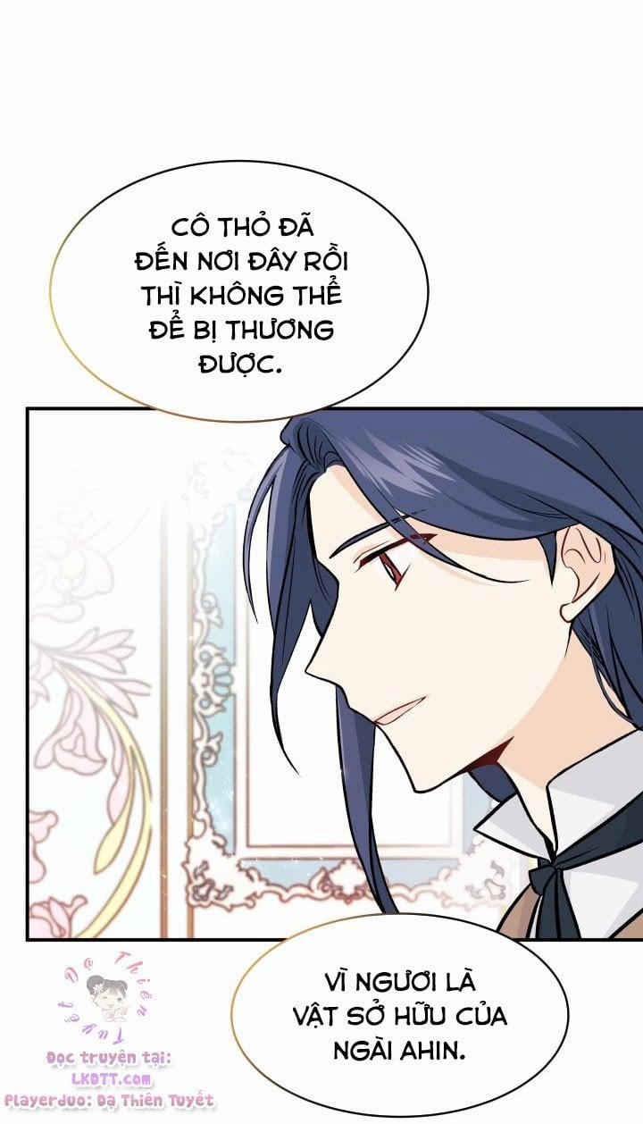 Mối Quan Hệ Cộng Sinh Giữa Báo Đen Và Thỏ Trắng 2 trang 24