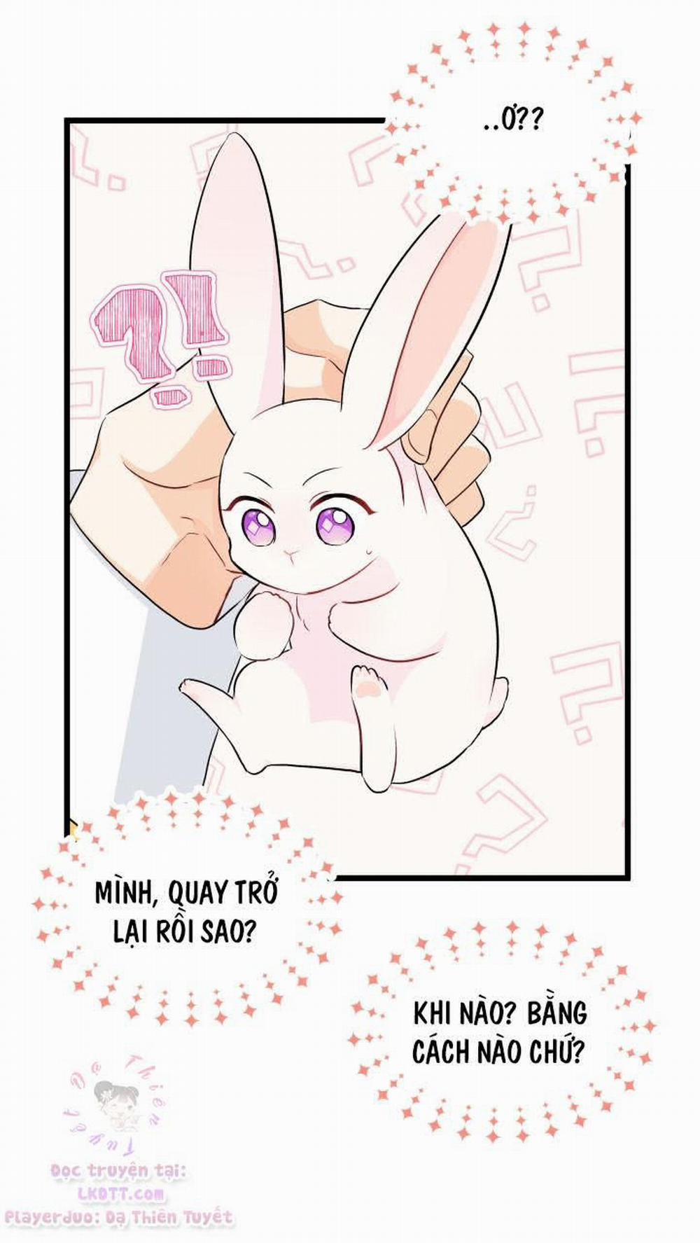 Mối Quan Hệ Cộng Sinh Giữa Báo Đen Và Thỏ Trắng 21 trang 17