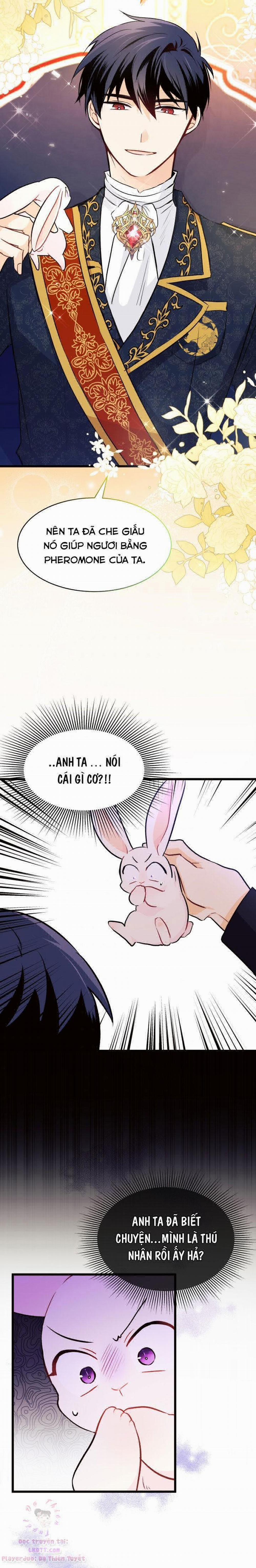 Mối Quan Hệ Cộng Sinh Giữa Báo Đen Và Thỏ Trắng 22 trang 13