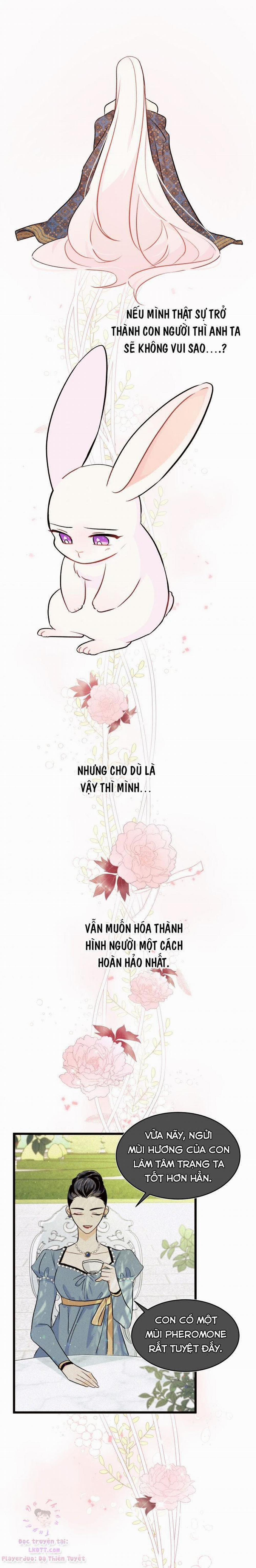 Mối Quan Hệ Cộng Sinh Giữa Báo Đen Và Thỏ Trắng 22 trang 18