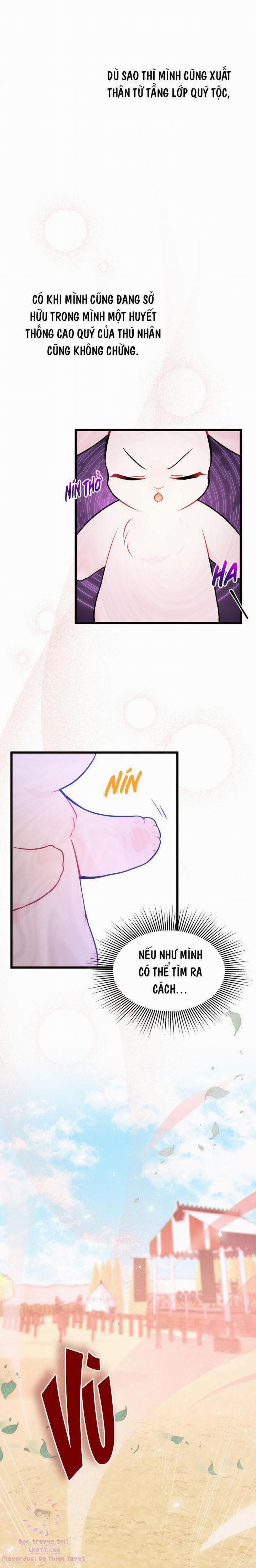 Mối Quan Hệ Cộng Sinh Giữa Báo Đen Và Thỏ Trắng 22 trang 20