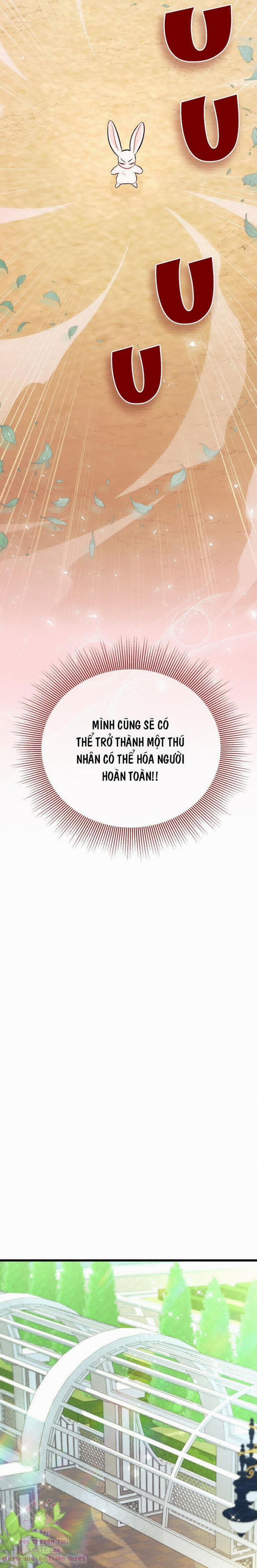 Mối Quan Hệ Cộng Sinh Giữa Báo Đen Và Thỏ Trắng 22 trang 21