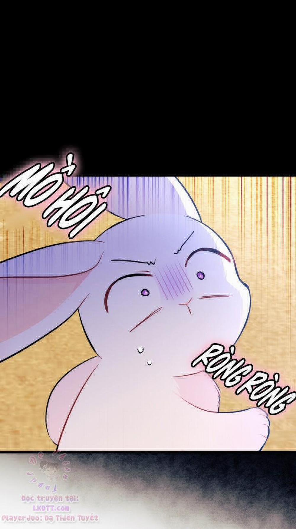 Mối Quan Hệ Cộng Sinh Giữa Báo Đen Và Thỏ Trắng 23 trang 10