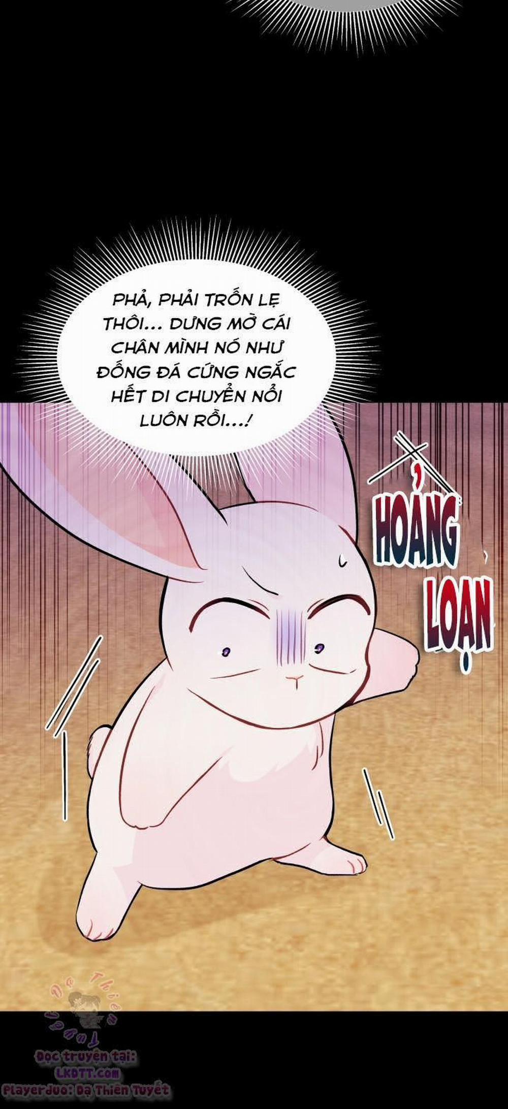 Mối Quan Hệ Cộng Sinh Giữa Báo Đen Và Thỏ Trắng 23 trang 14