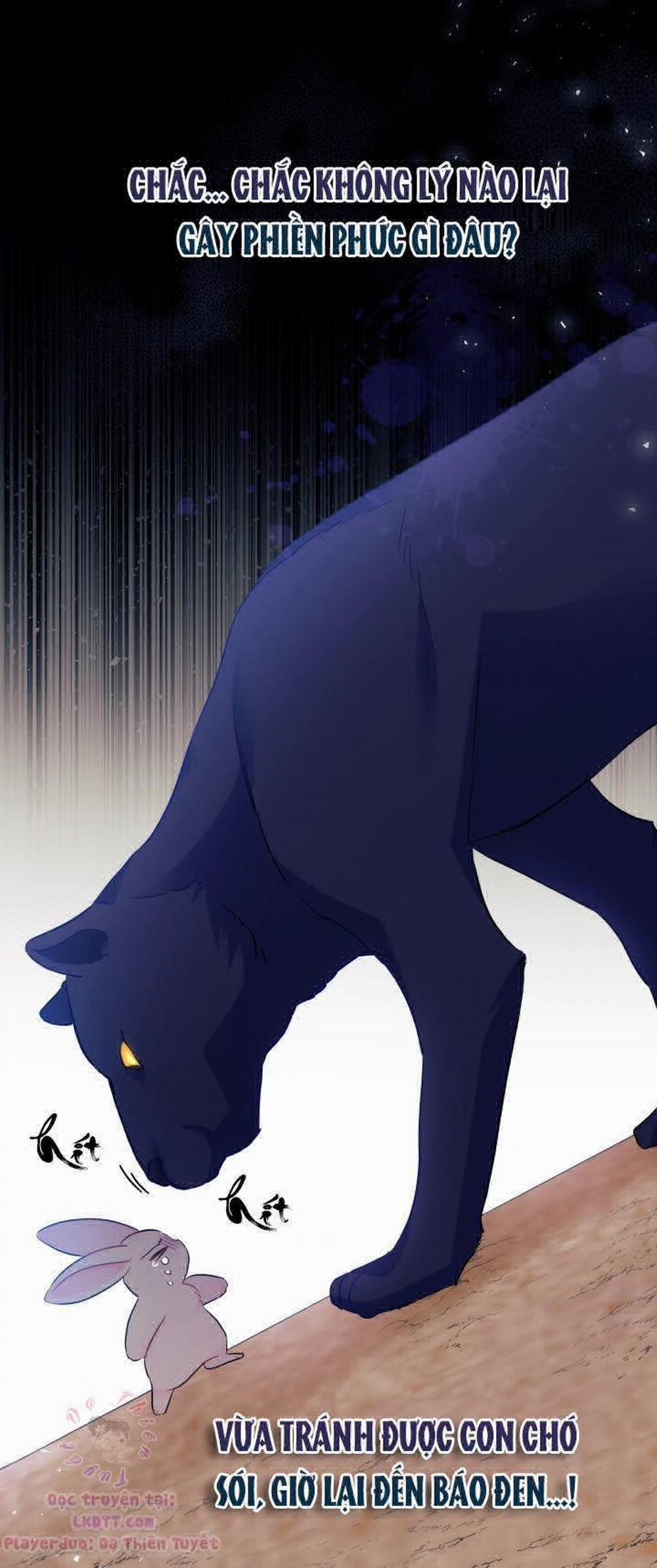 Mối Quan Hệ Cộng Sinh Giữa Báo Đen Và Thỏ Trắng 23 trang 16