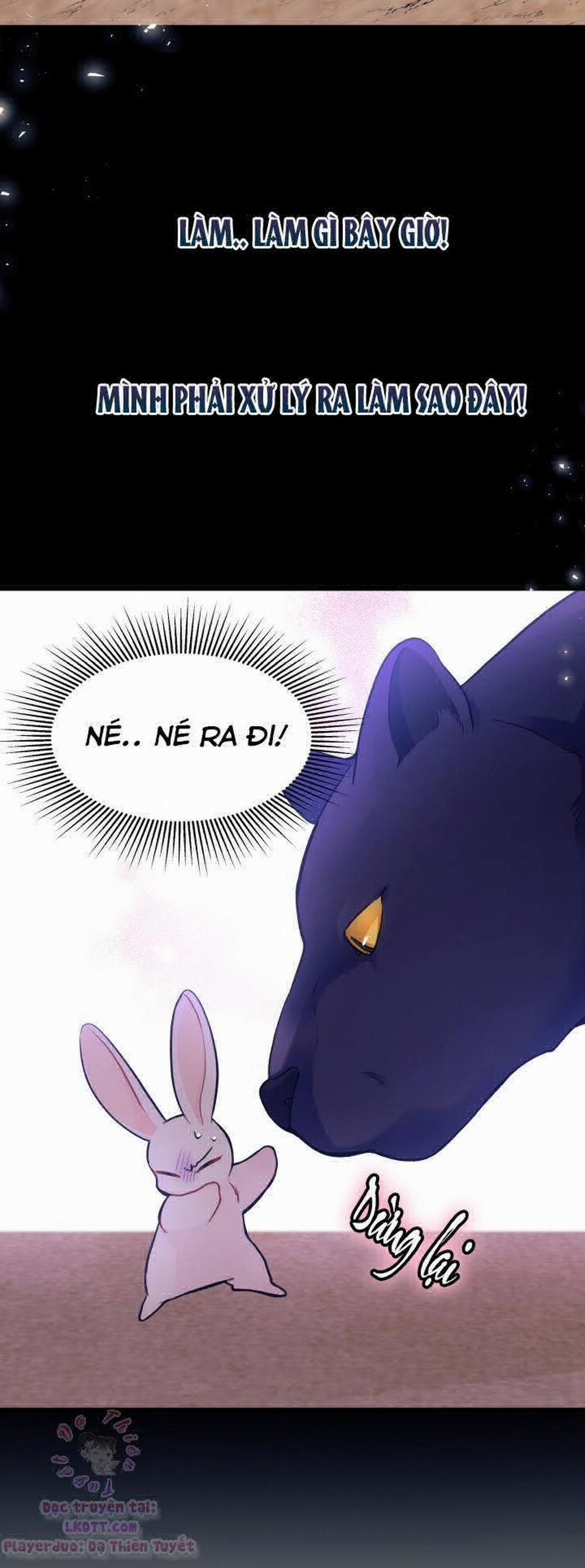 Mối Quan Hệ Cộng Sinh Giữa Báo Đen Và Thỏ Trắng 23 trang 17