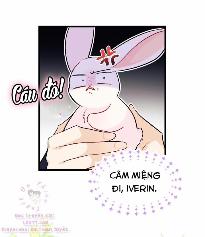 Mối Quan Hệ Cộng Sinh Giữa Báo Đen Và Thỏ Trắng 23 trang 33