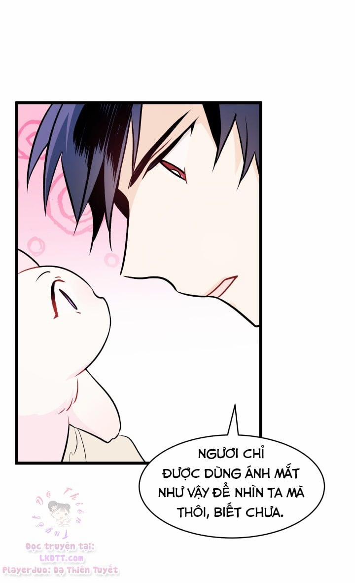 Mối Quan Hệ Cộng Sinh Giữa Báo Đen Và Thỏ Trắng 23 trang 40