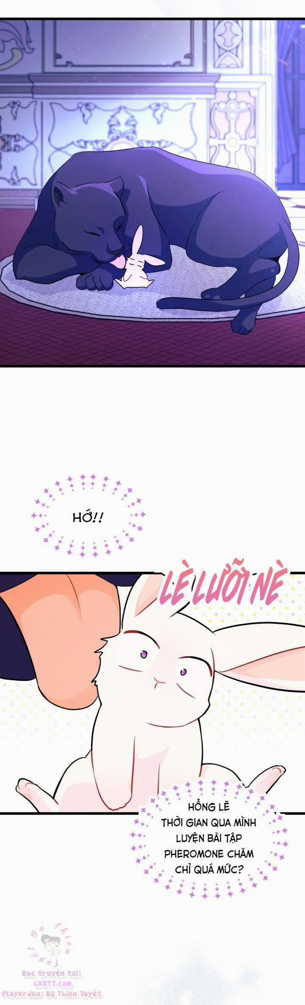 Mối Quan Hệ Cộng Sinh Giữa Báo Đen Và Thỏ Trắng 23 trang 46