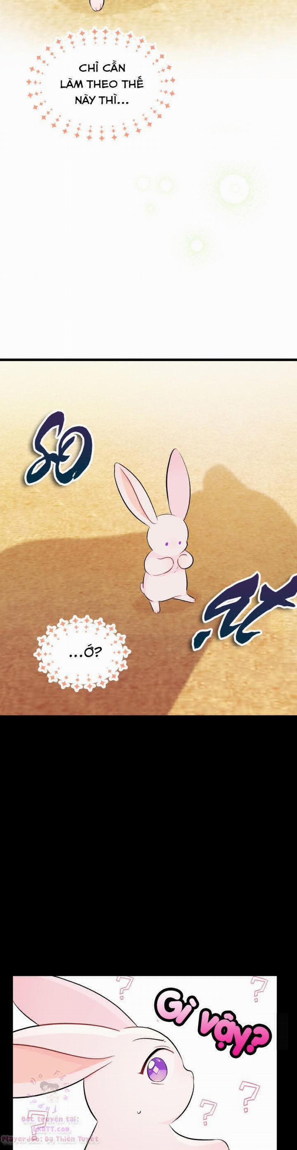 Mối Quan Hệ Cộng Sinh Giữa Báo Đen Và Thỏ Trắng 23 trang 7