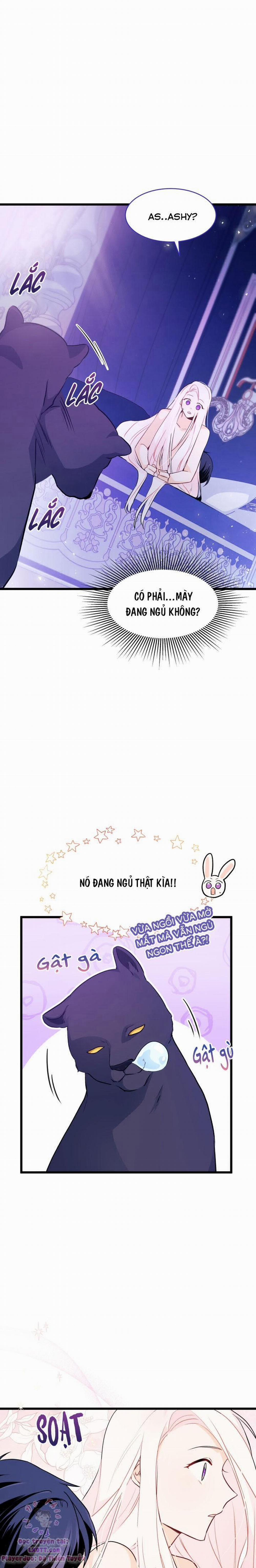 Mối Quan Hệ Cộng Sinh Giữa Báo Đen Và Thỏ Trắng 24 trang 8