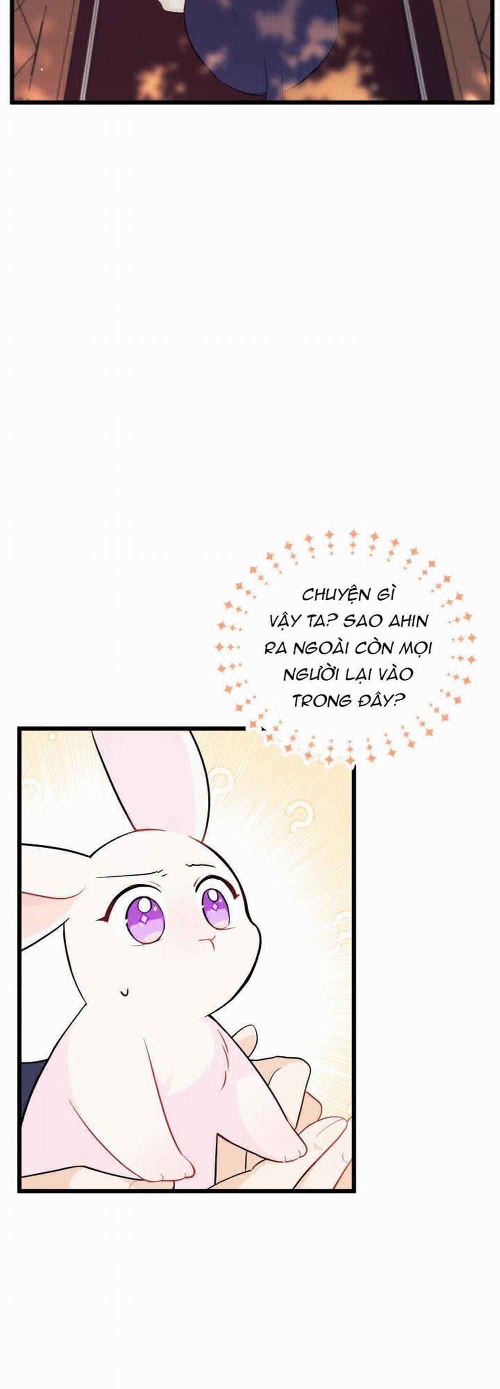 Mối Quan Hệ Cộng Sinh Giữa Báo Đen Và Thỏ Trắng 27 trang 12