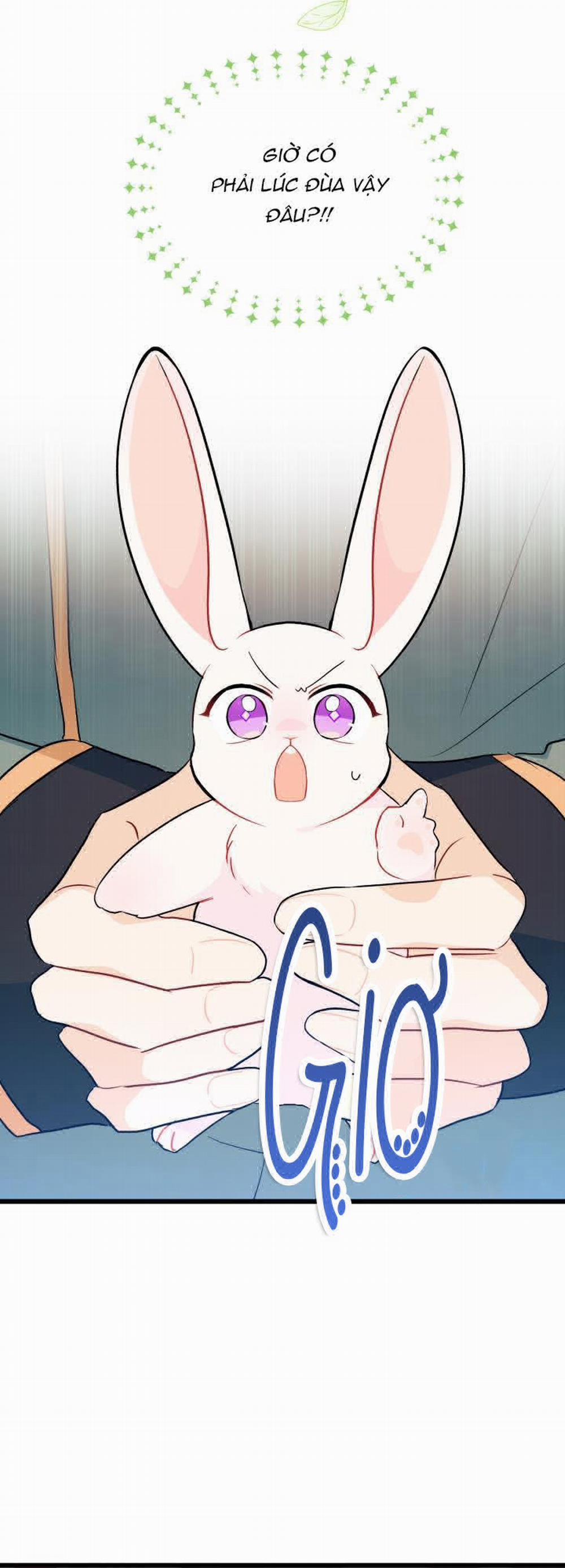 Mối Quan Hệ Cộng Sinh Giữa Báo Đen Và Thỏ Trắng 27 trang 27