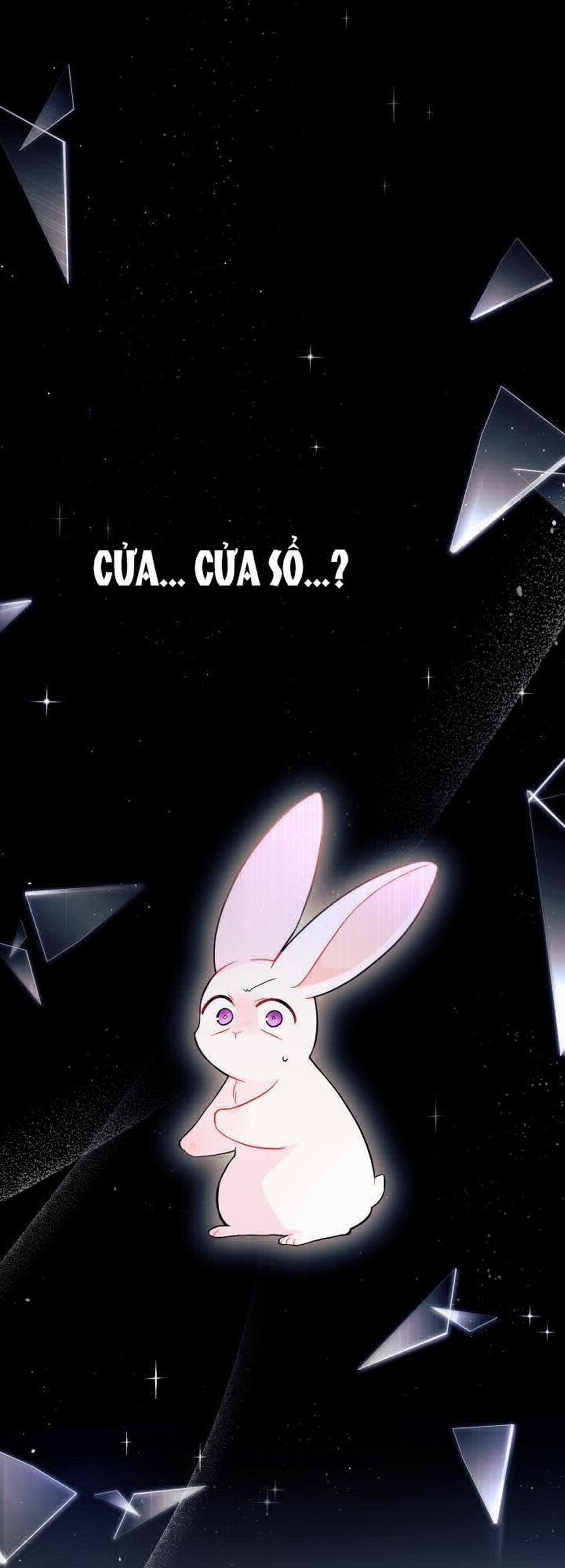 Mối Quan Hệ Cộng Sinh Giữa Báo Đen Và Thỏ Trắng 27 trang 36