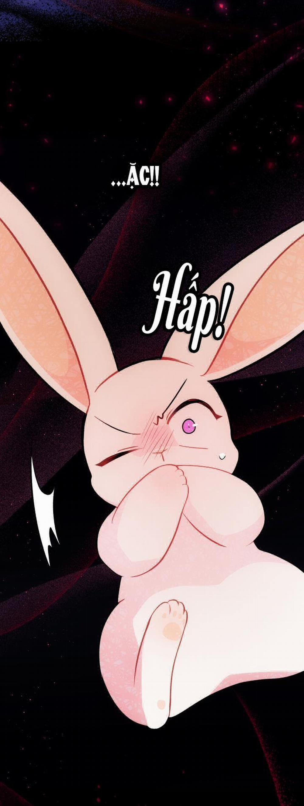 Mối Quan Hệ Cộng Sinh Giữa Báo Đen Và Thỏ Trắng 27 trang 39