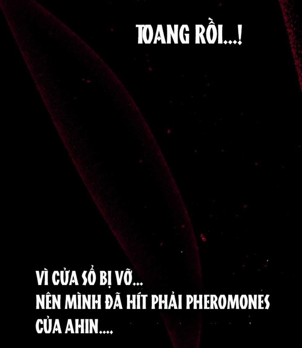 Mối Quan Hệ Cộng Sinh Giữa Báo Đen Và Thỏ Trắng 27 trang 40