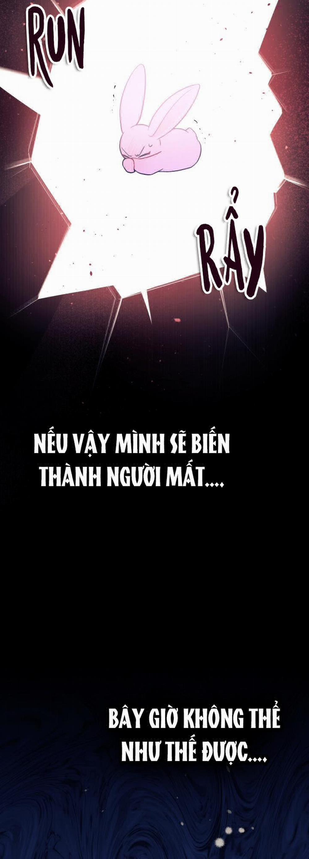 Mối Quan Hệ Cộng Sinh Giữa Báo Đen Và Thỏ Trắng 27 trang 42