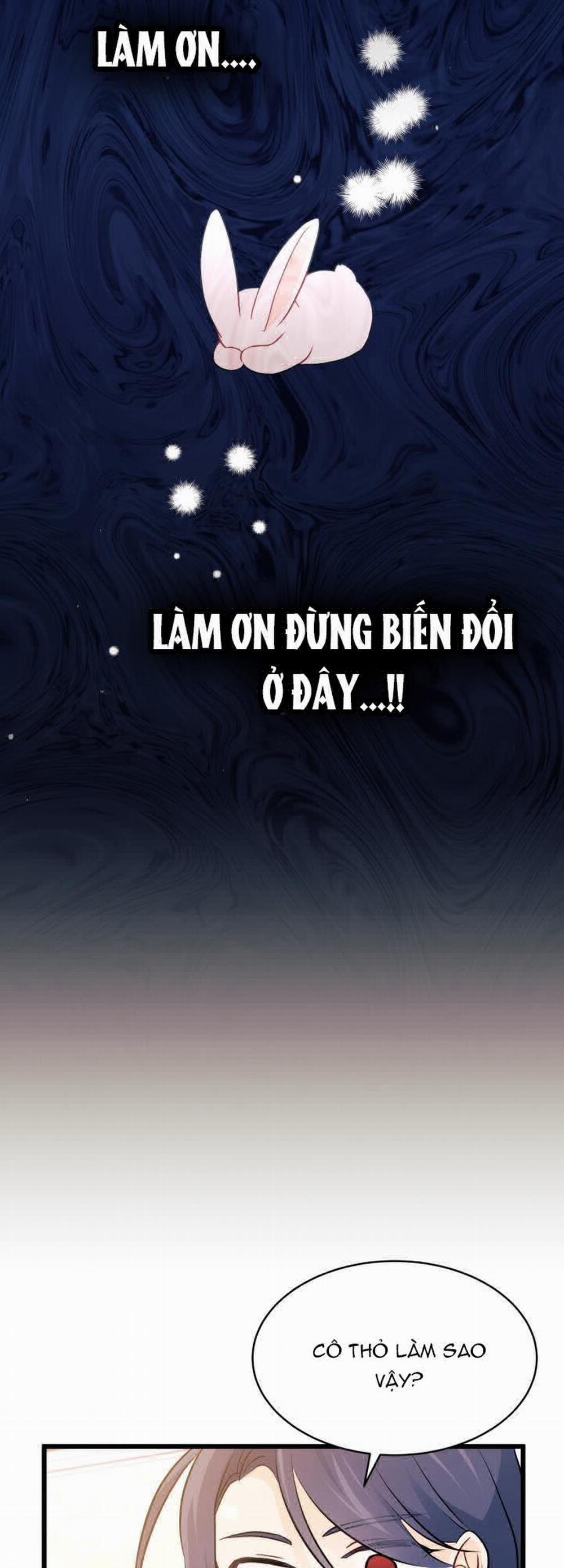 Mối Quan Hệ Cộng Sinh Giữa Báo Đen Và Thỏ Trắng 27 trang 43