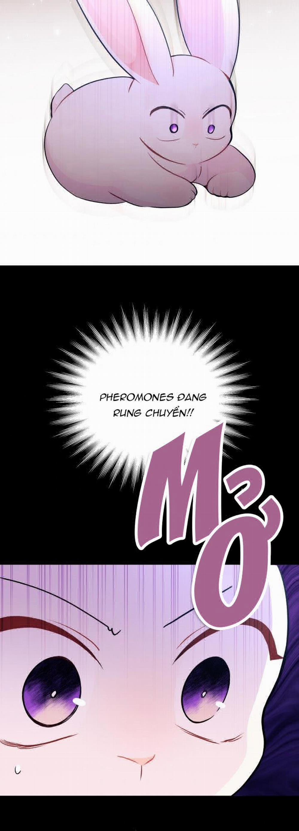 Mối Quan Hệ Cộng Sinh Giữa Báo Đen Và Thỏ Trắng 27 trang 51