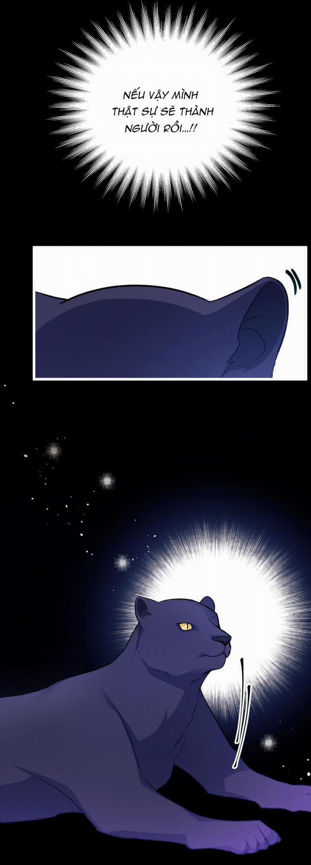 Mối Quan Hệ Cộng Sinh Giữa Báo Đen Và Thỏ Trắng 27 trang 52