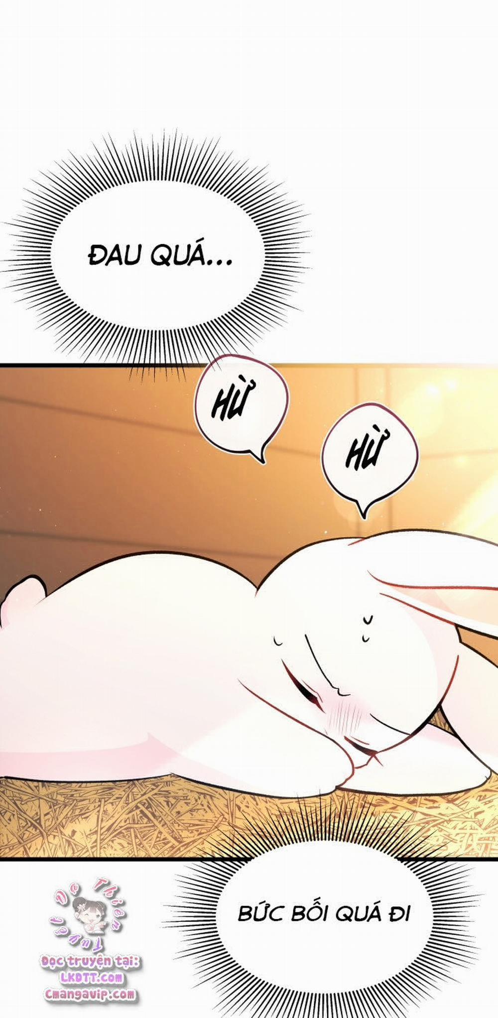 Mối Quan Hệ Cộng Sinh Giữa Báo Đen Và Thỏ Trắng 28 trang 11