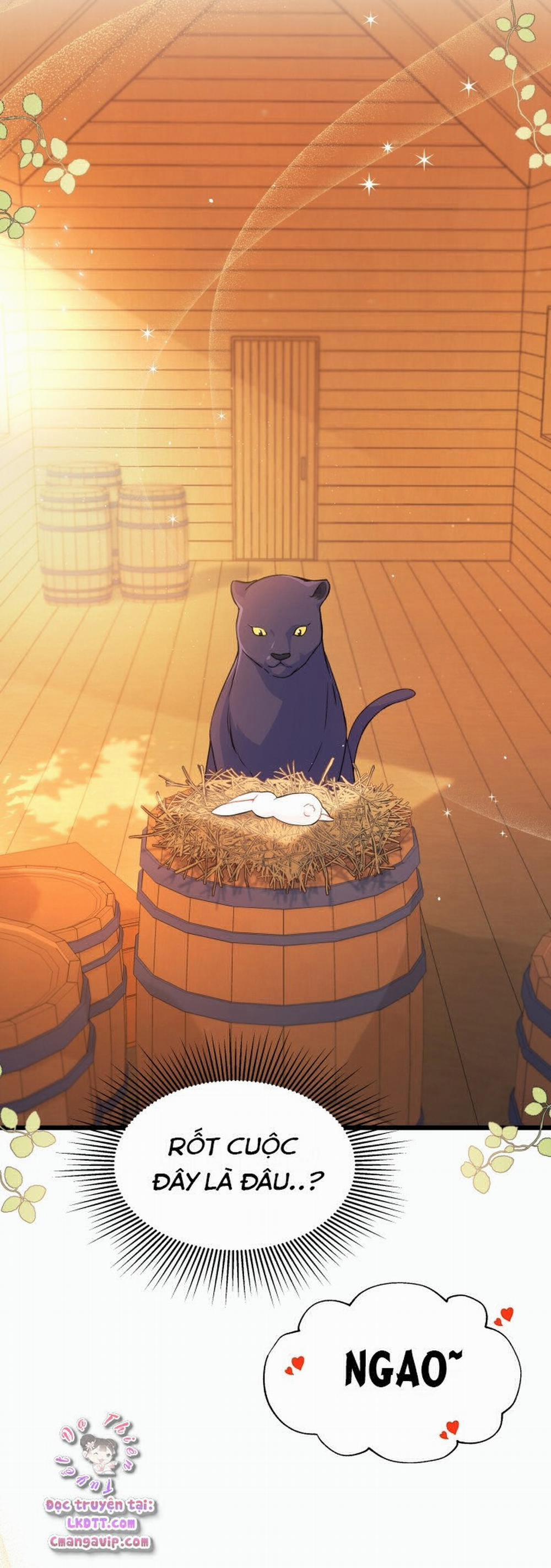 Mối Quan Hệ Cộng Sinh Giữa Báo Đen Và Thỏ Trắng 28 trang 13