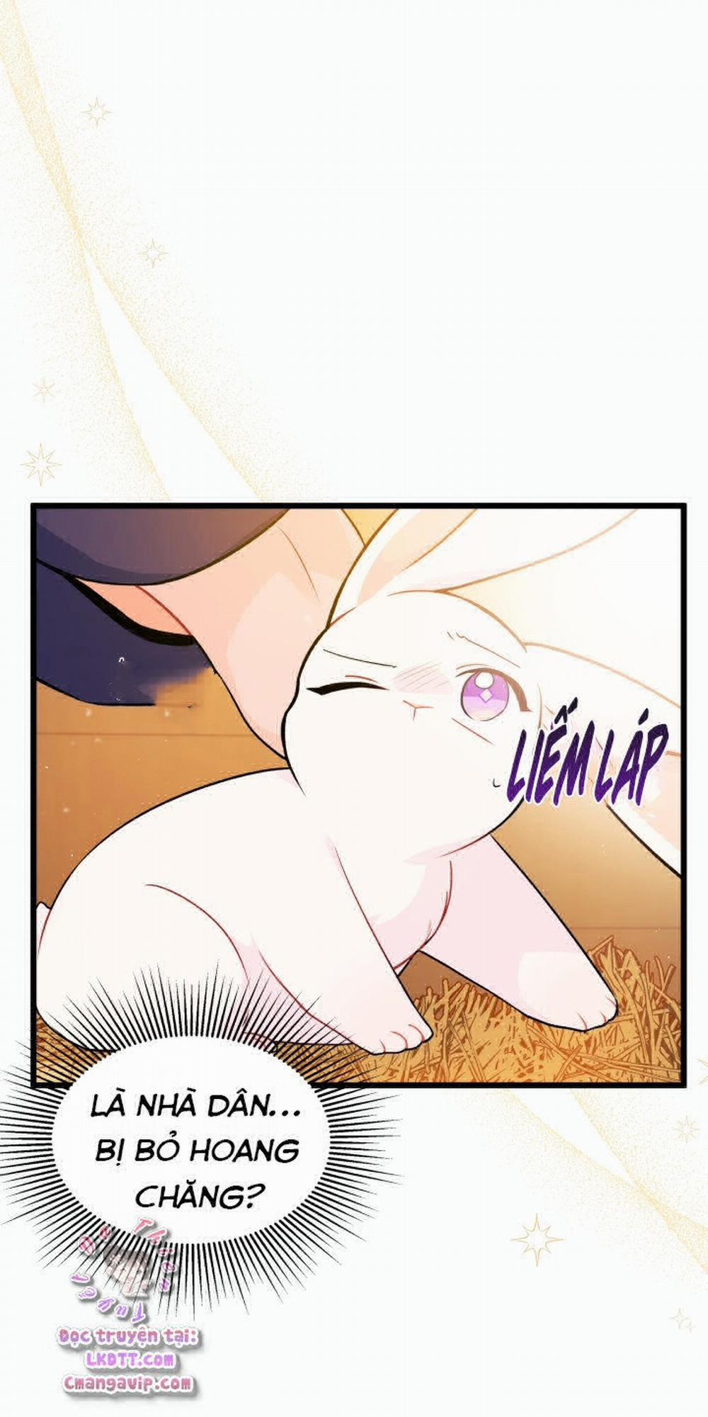 Mối Quan Hệ Cộng Sinh Giữa Báo Đen Và Thỏ Trắng 28 trang 14