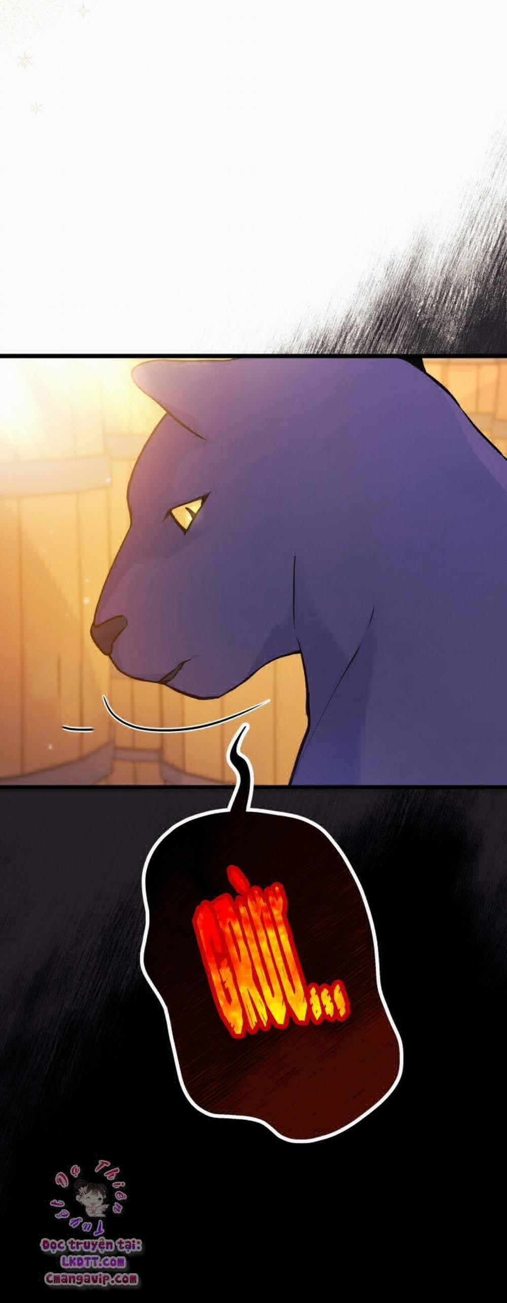 Mối Quan Hệ Cộng Sinh Giữa Báo Đen Và Thỏ Trắng 28 trang 16