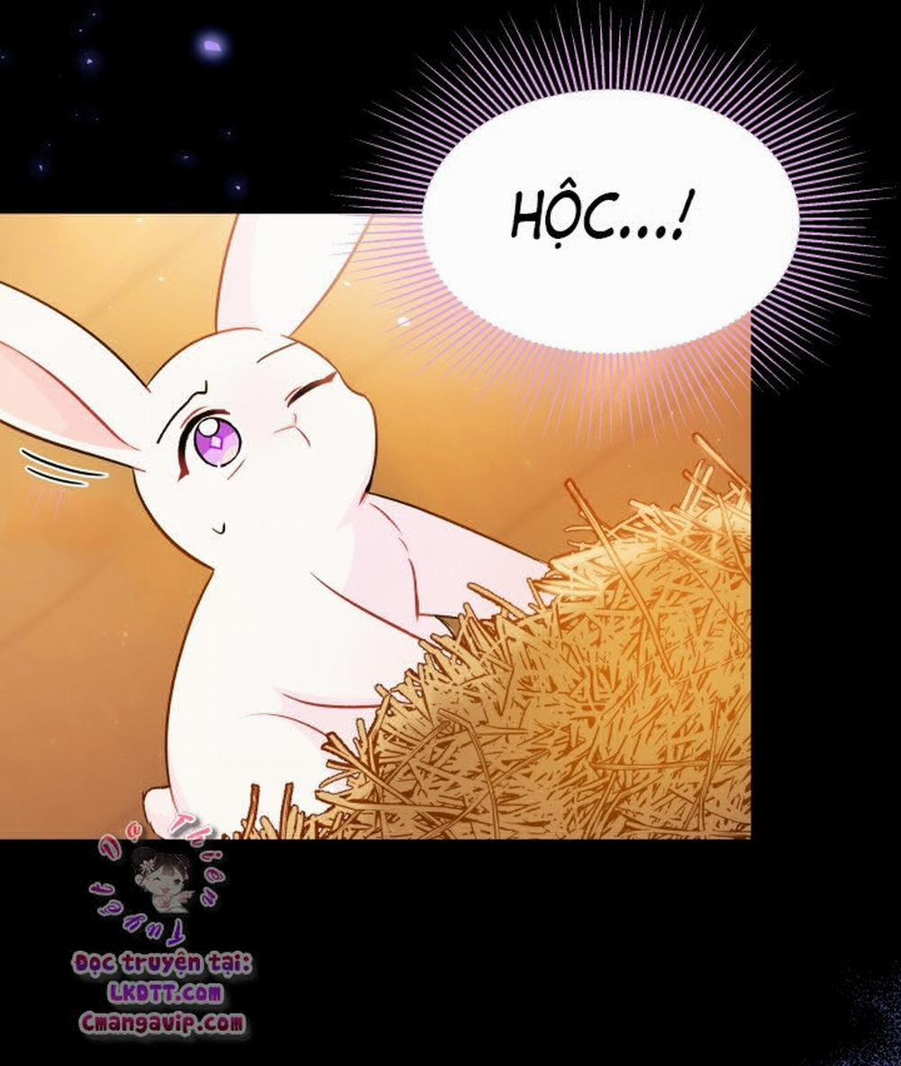 Mối Quan Hệ Cộng Sinh Giữa Báo Đen Và Thỏ Trắng 28 trang 18