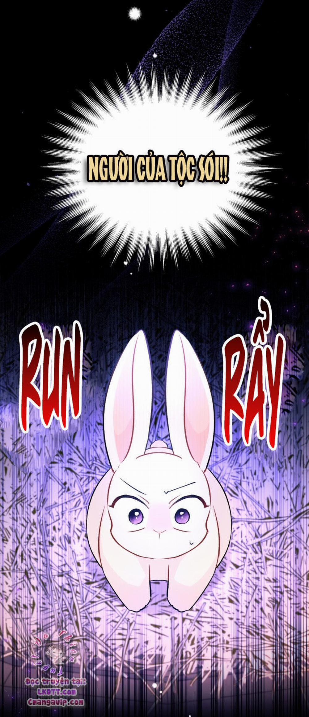 Mối Quan Hệ Cộng Sinh Giữa Báo Đen Và Thỏ Trắng 28 trang 24