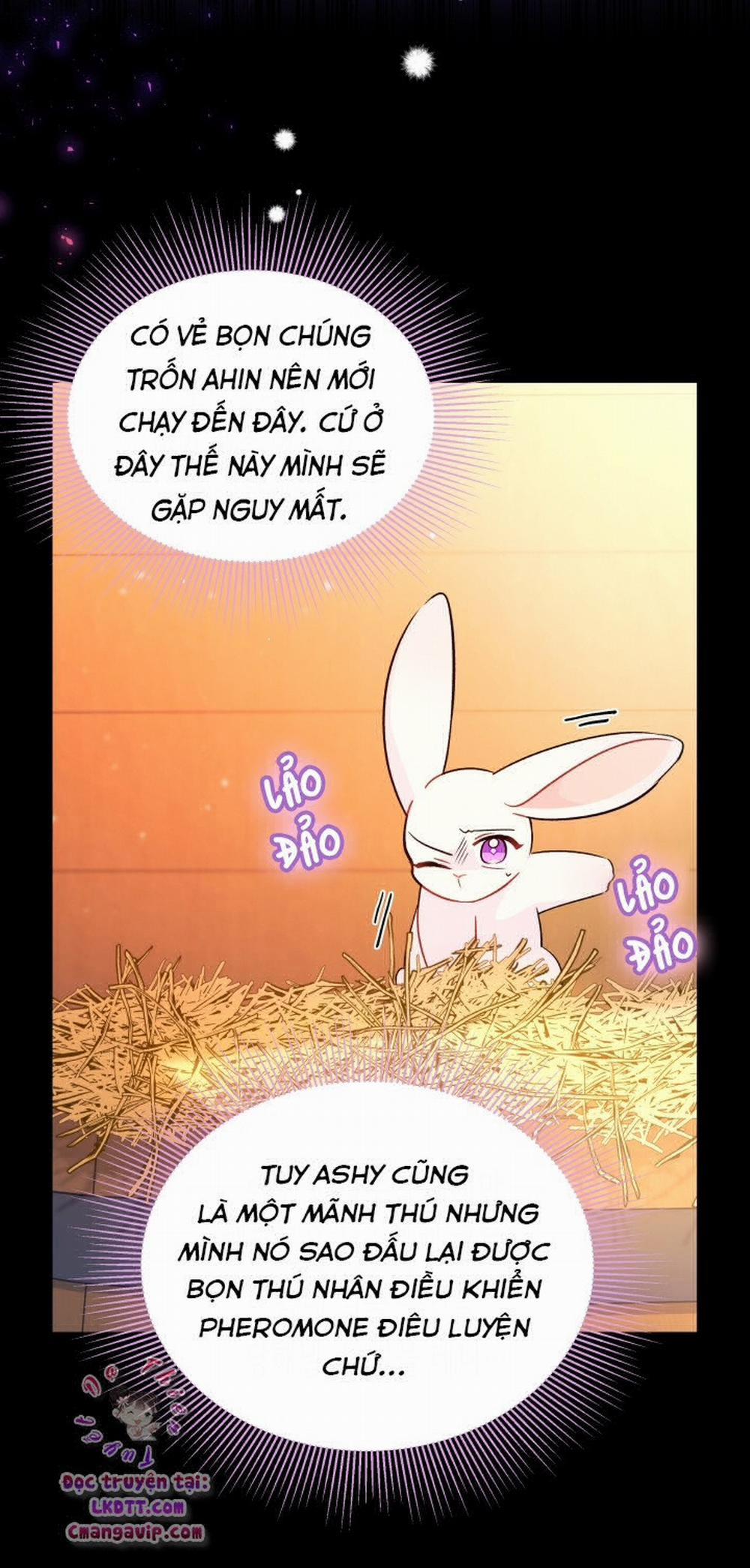 Mối Quan Hệ Cộng Sinh Giữa Báo Đen Và Thỏ Trắng 28 trang 25