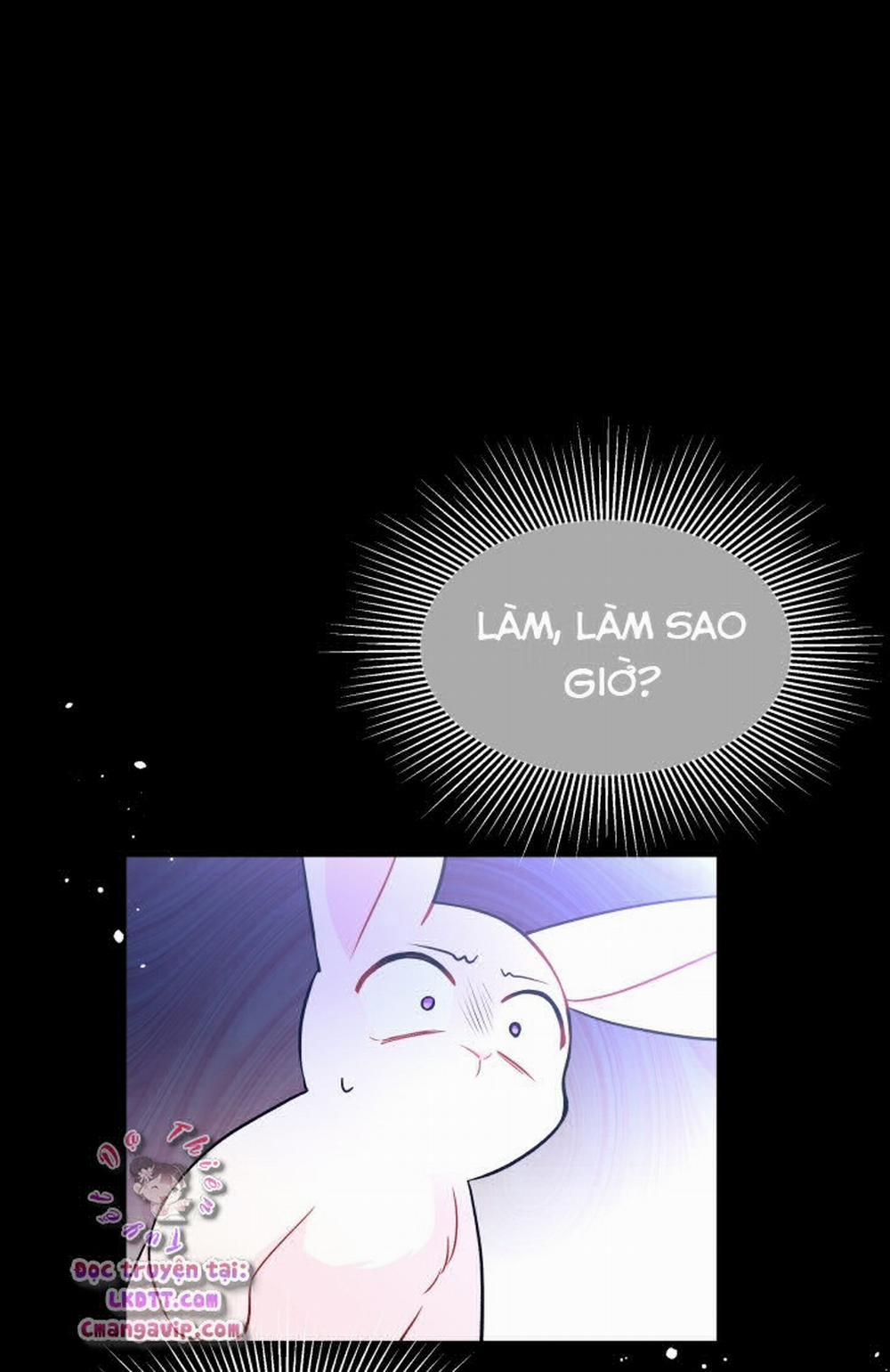 Mối Quan Hệ Cộng Sinh Giữa Báo Đen Và Thỏ Trắng 28 trang 31