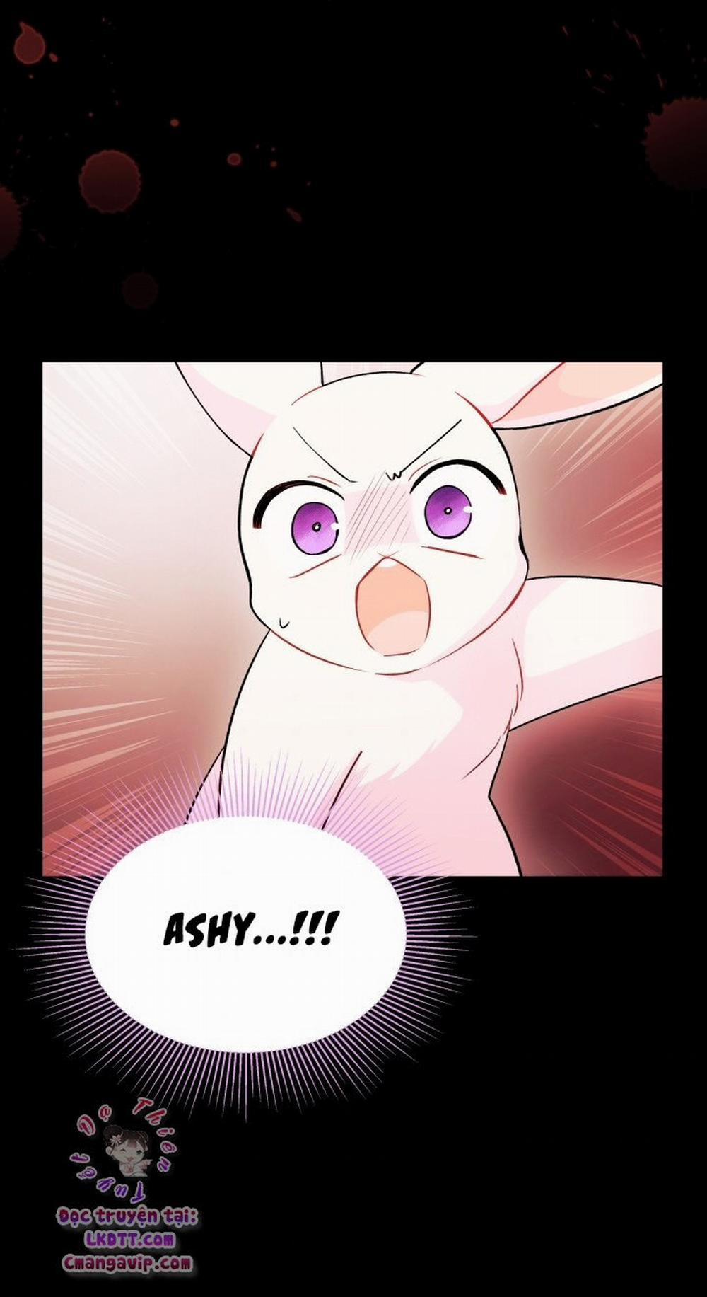 Mối Quan Hệ Cộng Sinh Giữa Báo Đen Và Thỏ Trắng 28 trang 35