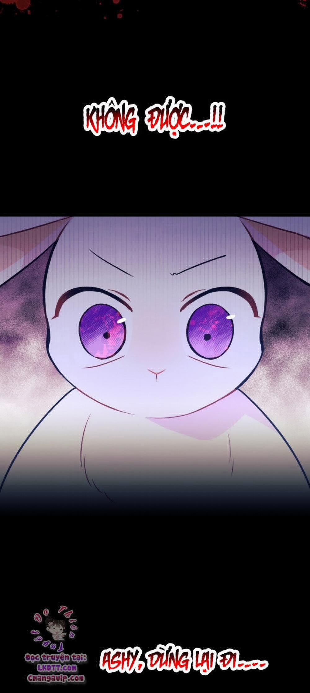 Mối Quan Hệ Cộng Sinh Giữa Báo Đen Và Thỏ Trắng 28 trang 39