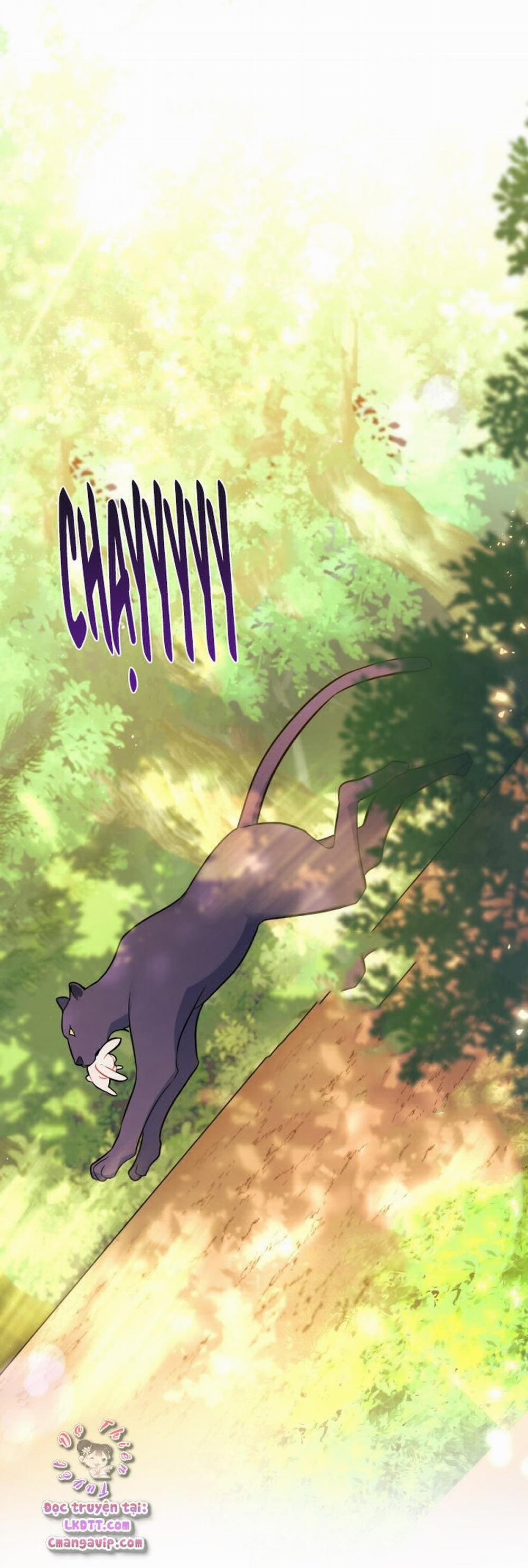 Mối Quan Hệ Cộng Sinh Giữa Báo Đen Và Thỏ Trắng 28 trang 4