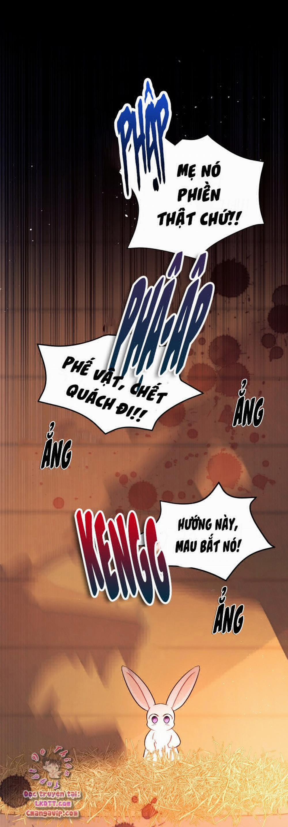 Mối Quan Hệ Cộng Sinh Giữa Báo Đen Và Thỏ Trắng 28 trang 40