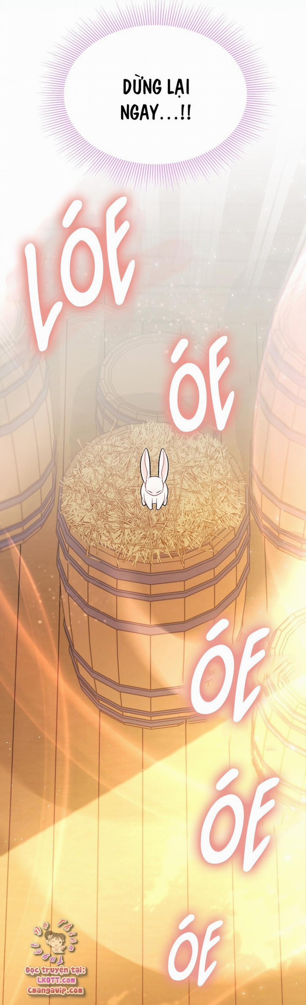 Mối Quan Hệ Cộng Sinh Giữa Báo Đen Và Thỏ Trắng 28 trang 47